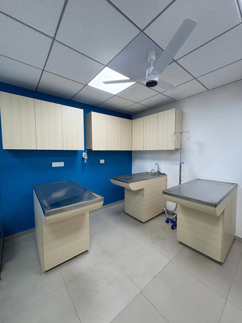 Animed Veterinary Clinic photo 10