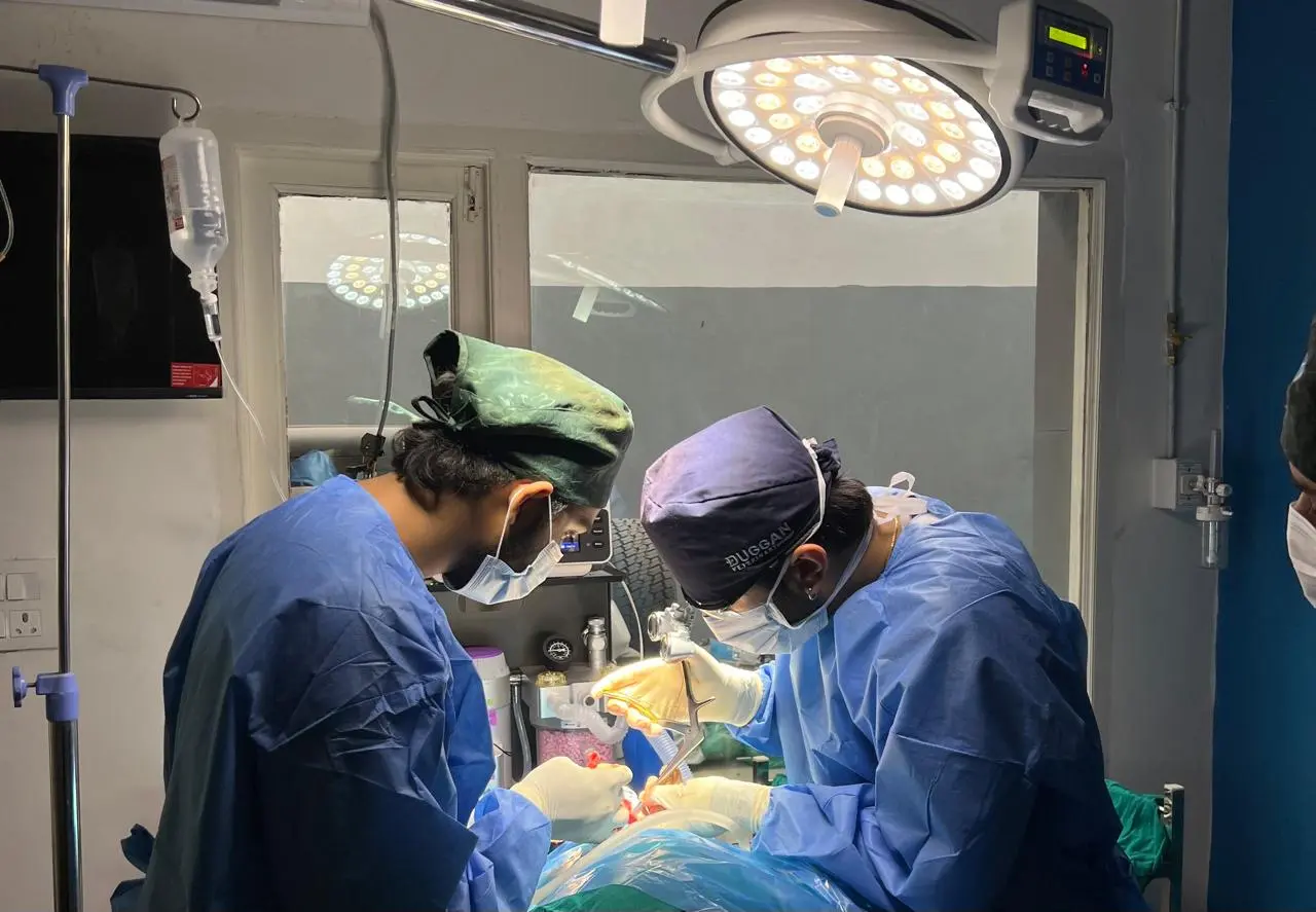 Animed Veterinary Clinic photo 13