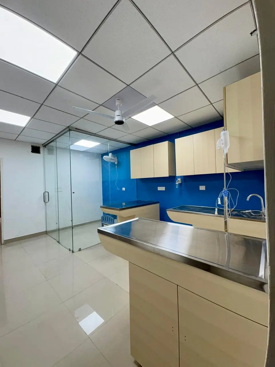 Animed Veterinary Clinic photo 2